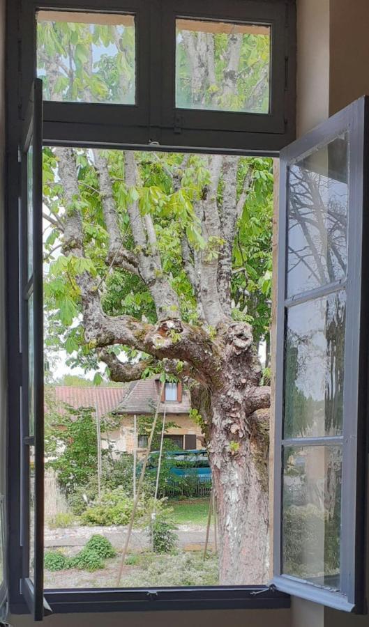 Willa Le Petit Figuier Villefranche-du-Périgord Zewnętrze zdjęcie