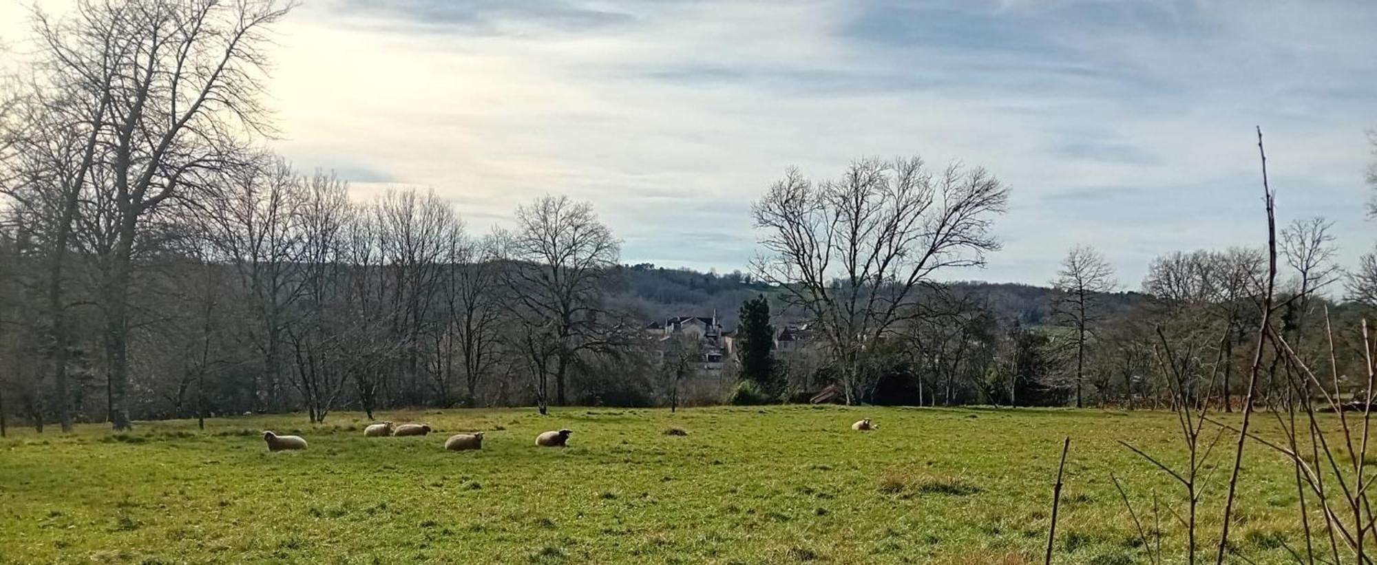 Willa Le Petit Figuier Villefranche-du-Périgord Zewnętrze zdjęcie